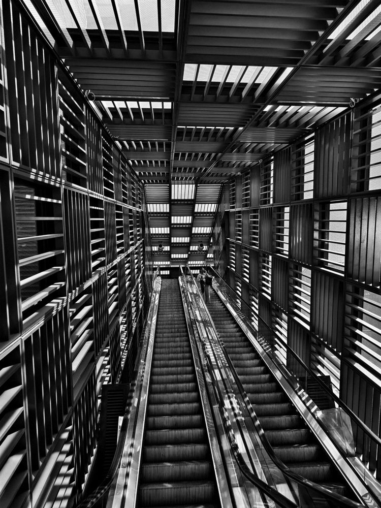 Photograph by Siew Chee chung