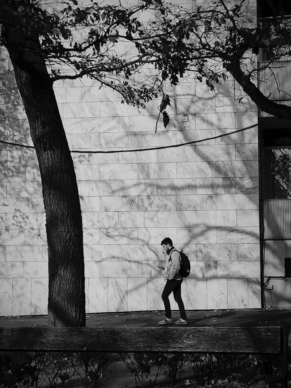 Photo #12967005