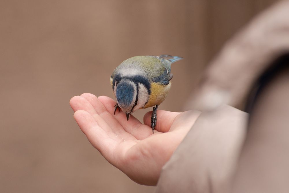 Photograph by Татьяна Эрбутаева