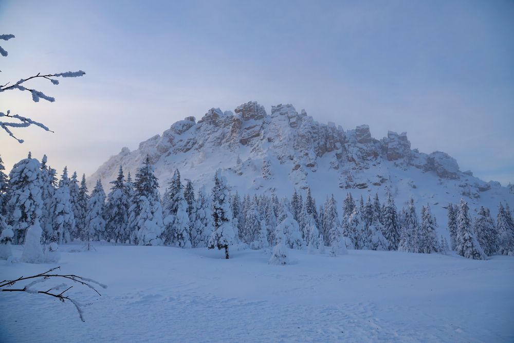 Фотография автора Елена Субботина