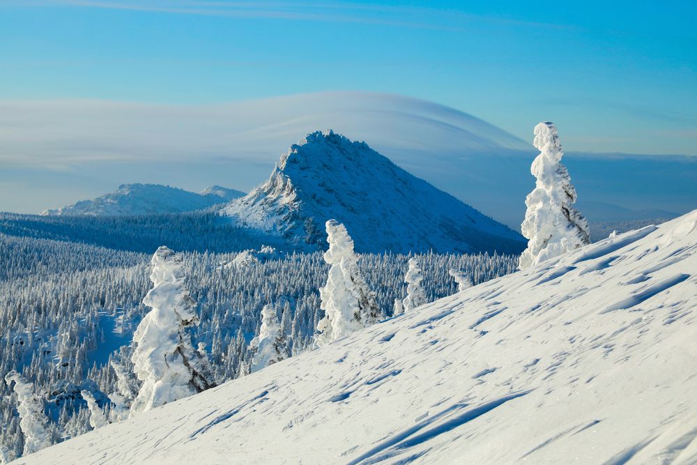 Фотография автора Елена Субботина