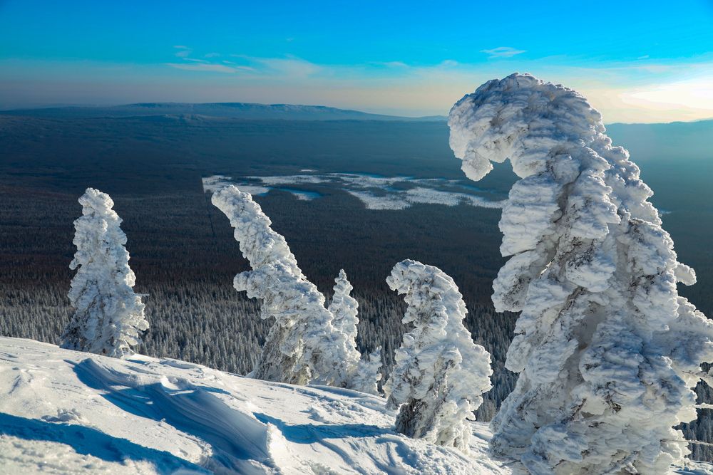 Фотография автора Елена Субботина