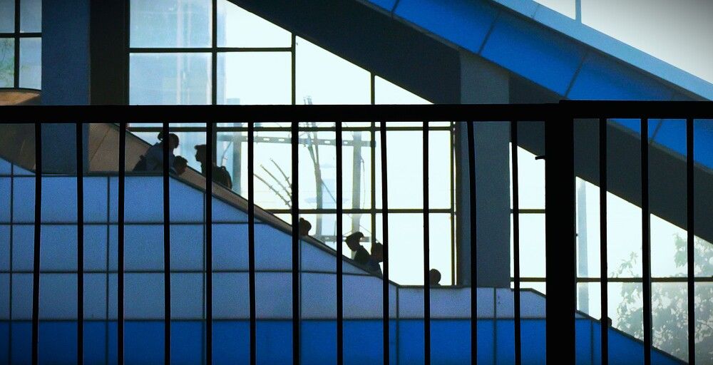 Photograph by G GOVIL