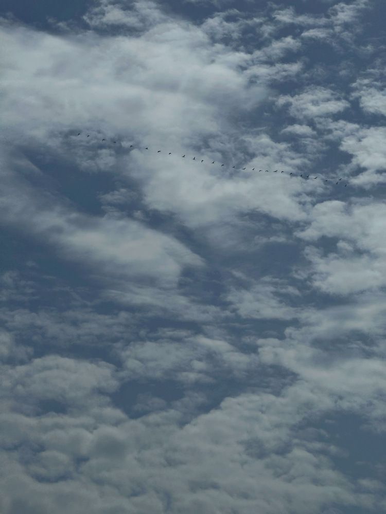 Photograph by Алёна Яцкевич