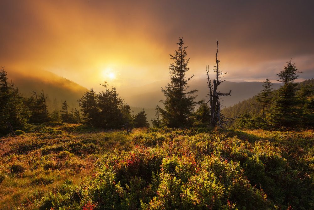Photograph by Tomáš Kráčmar