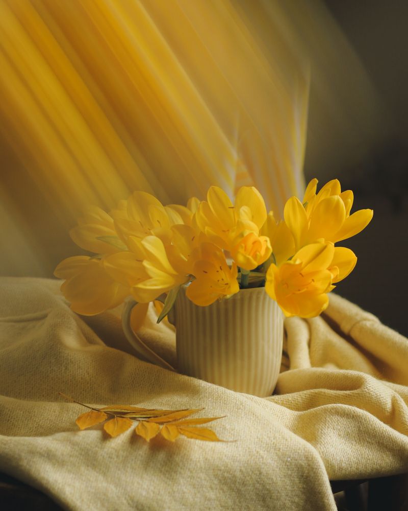 Photograph by Alexandra Sergeeva