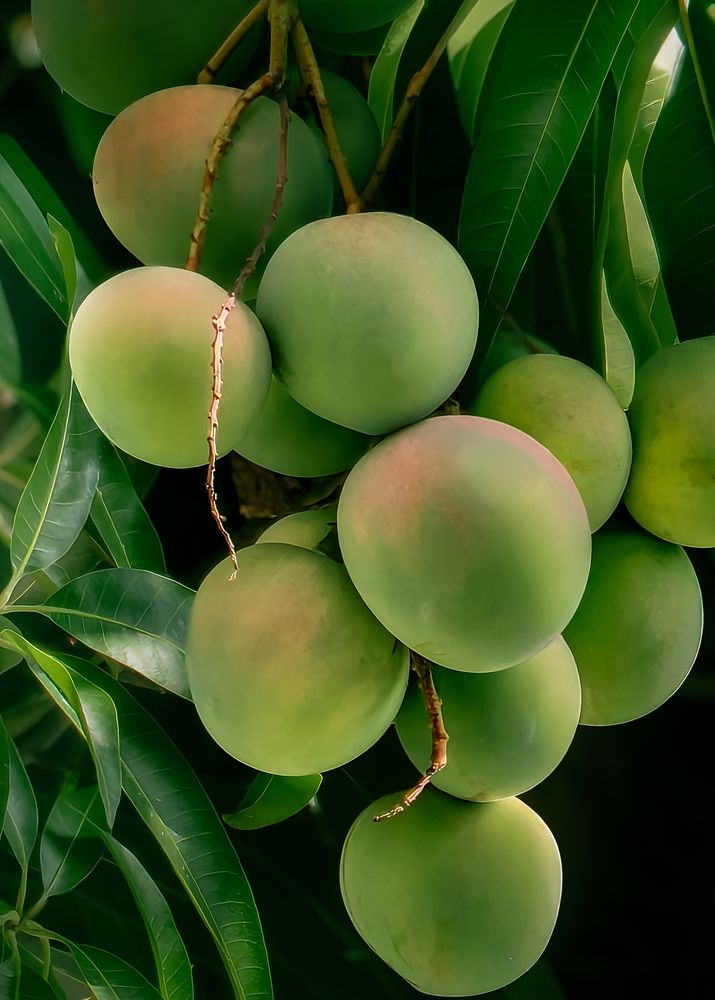 Photograph by Edi Hidayat