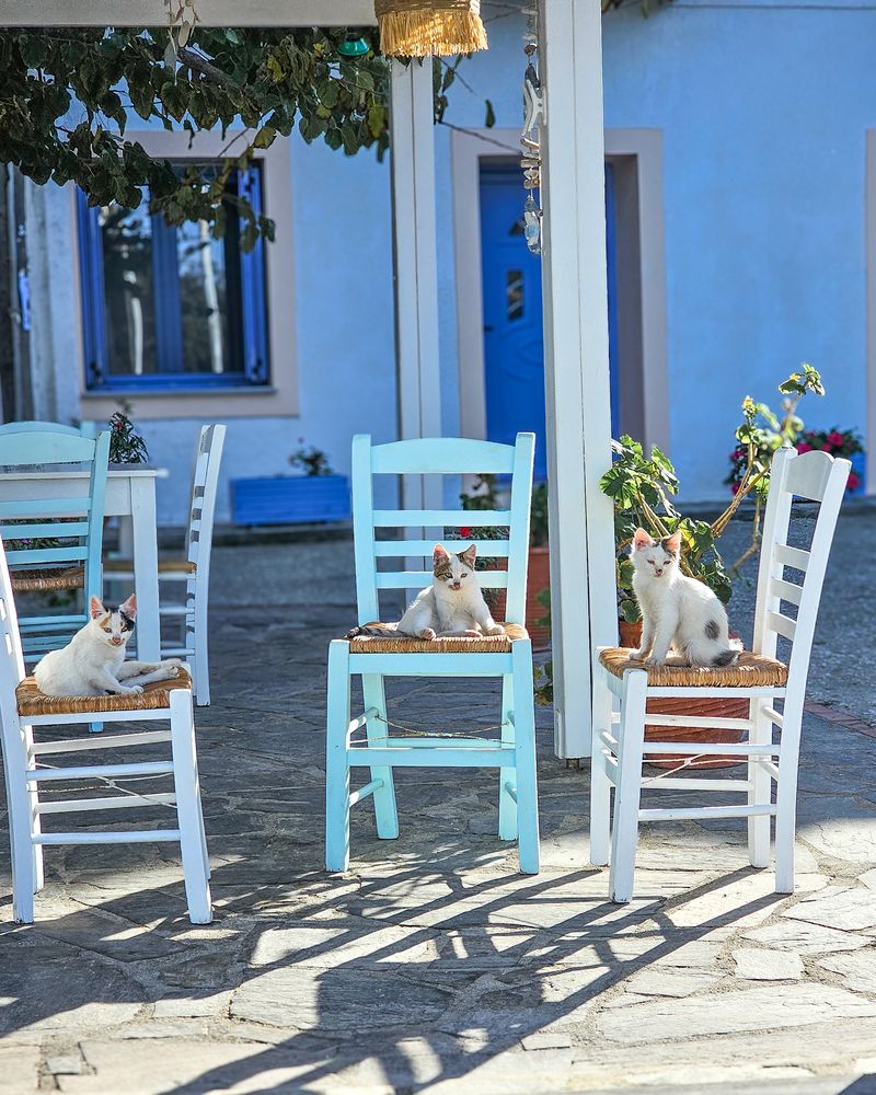 Photograph by Alexandra Sergeeva