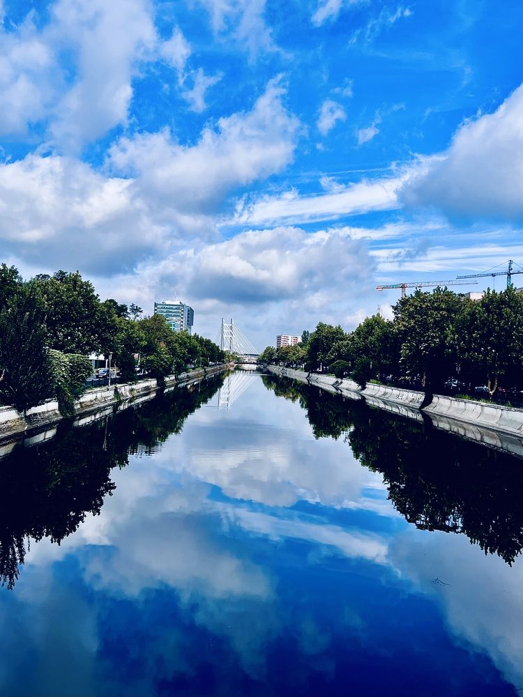 Фотография автора Алла Киселева