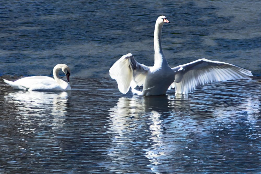 Photograph by миша