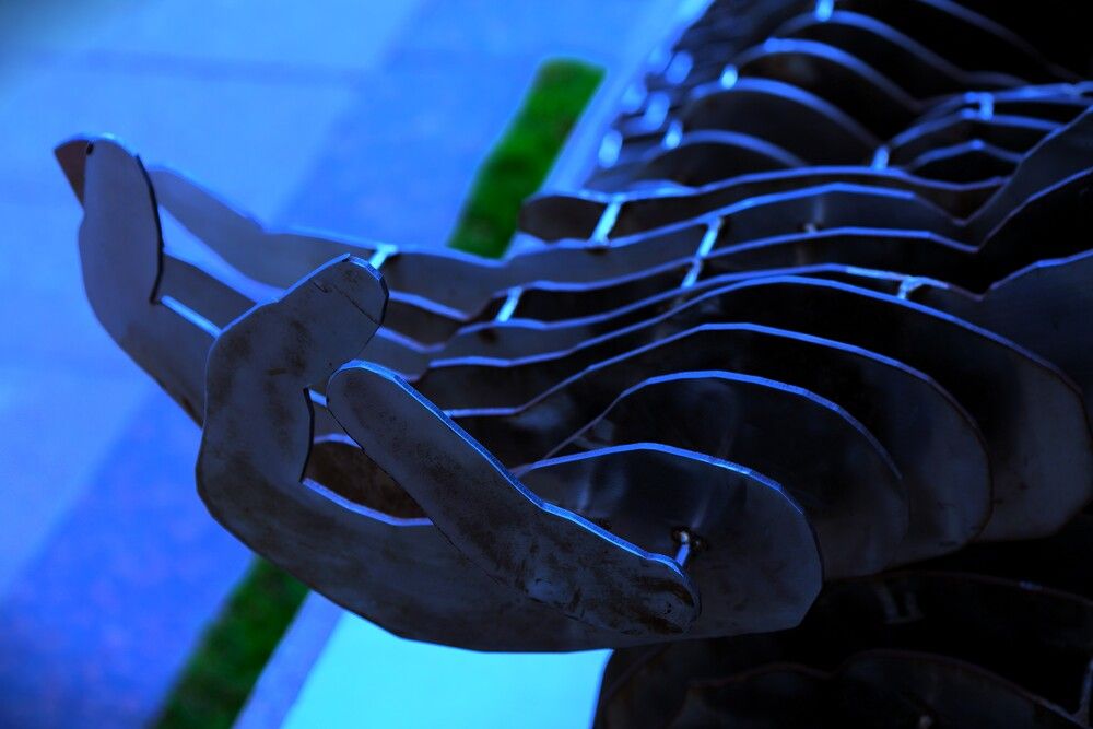 Photograph by G GOVIL