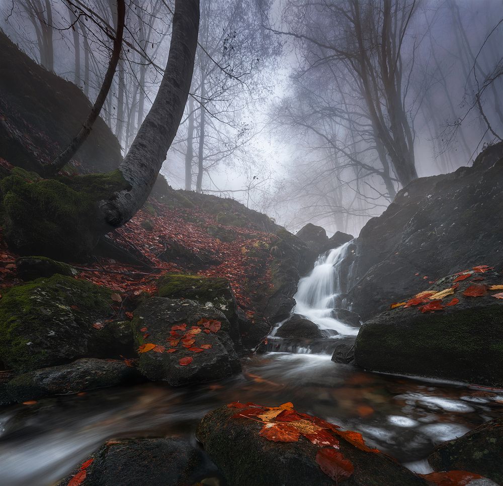Photograph by Александър Александров