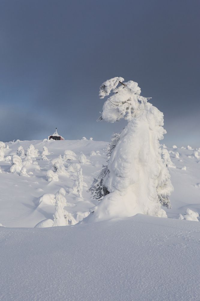 Фотография автора Алексей Новиков
