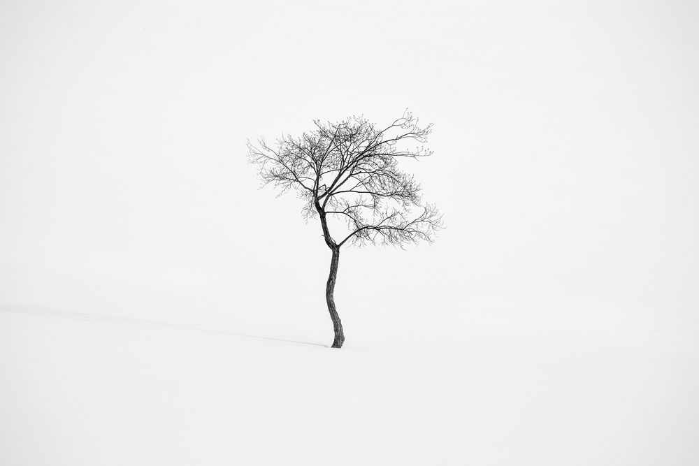 Photograph by Татьяна Бирюкова