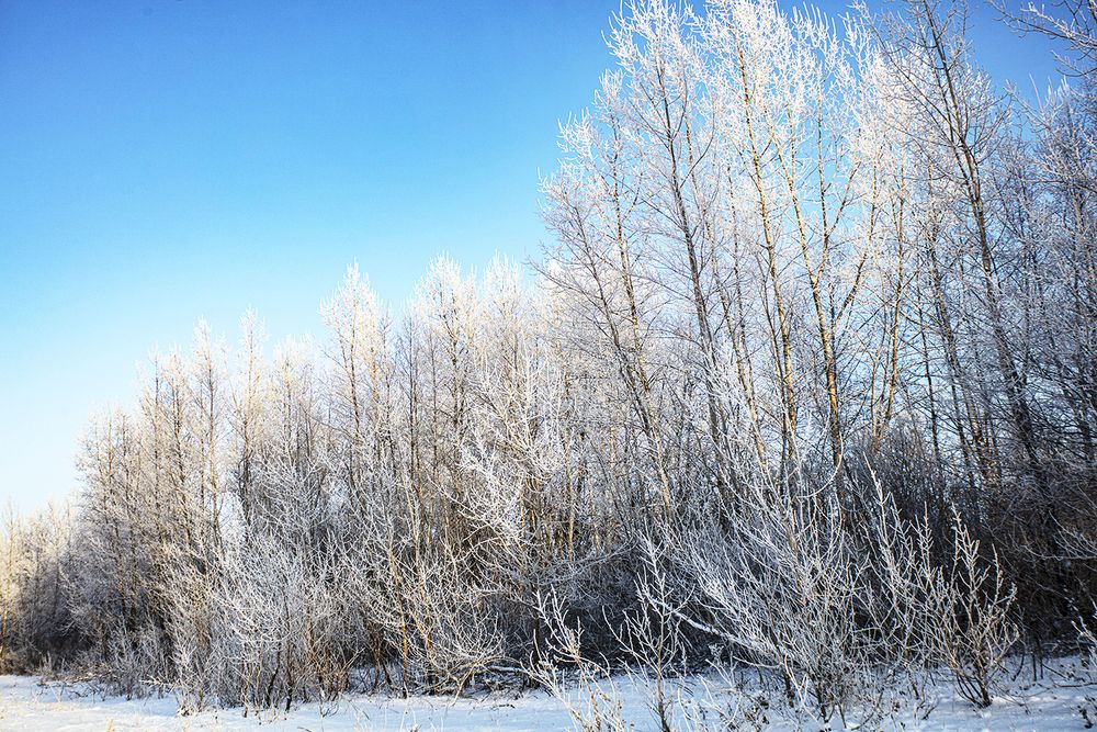 Photograph by миша