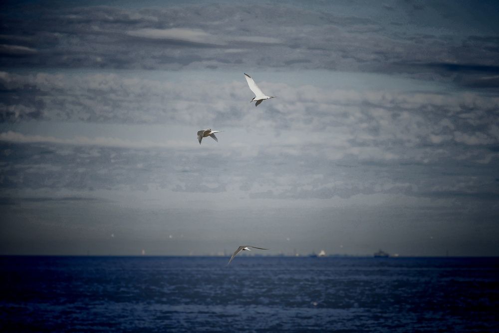 Photograph by Яна Егорова