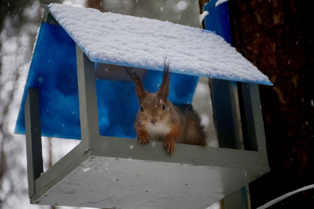 Photograph by Яна Егорова