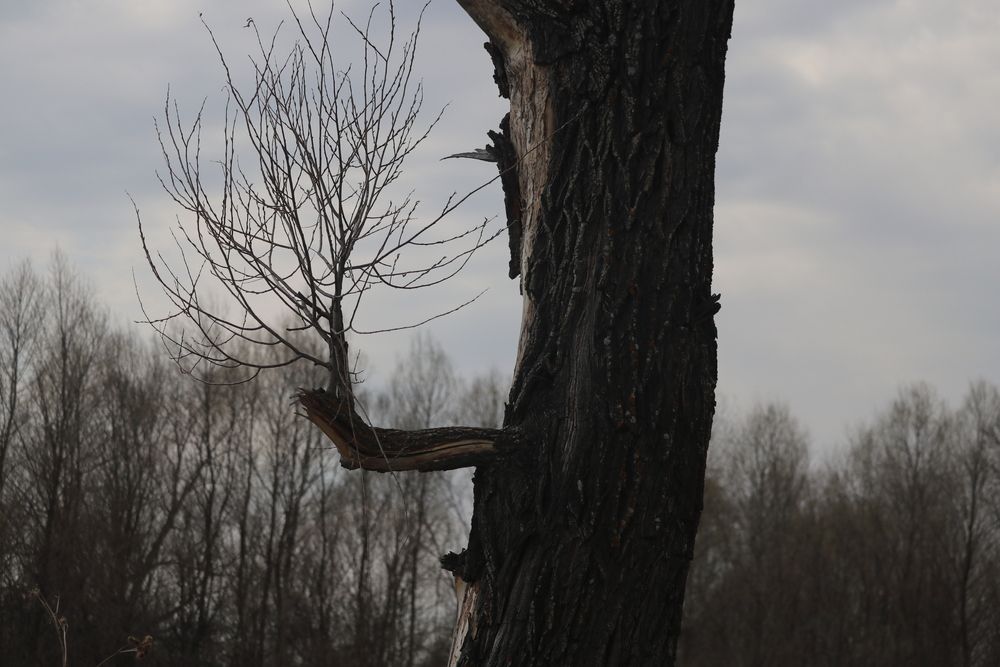 Хочется жить.