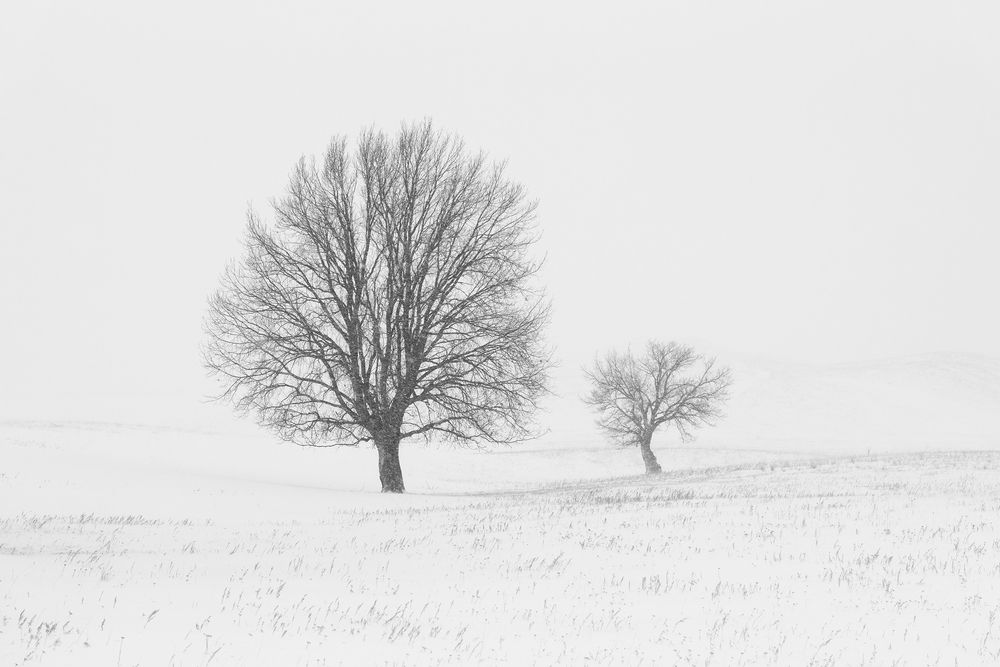 Photograph by Татьяна Бирюкова