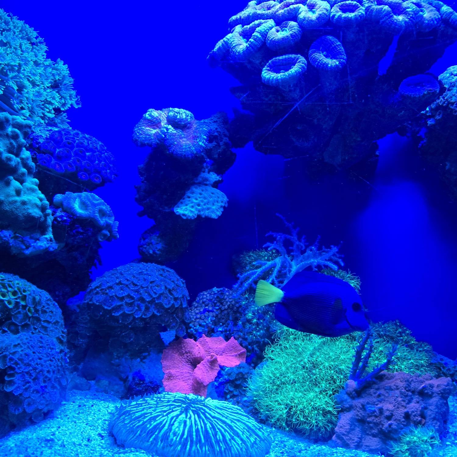 Photo #12967334
