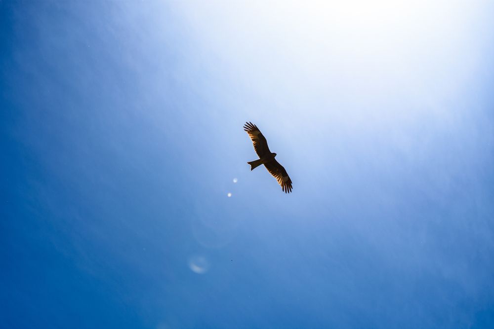 Photograph by Юрий Жданов