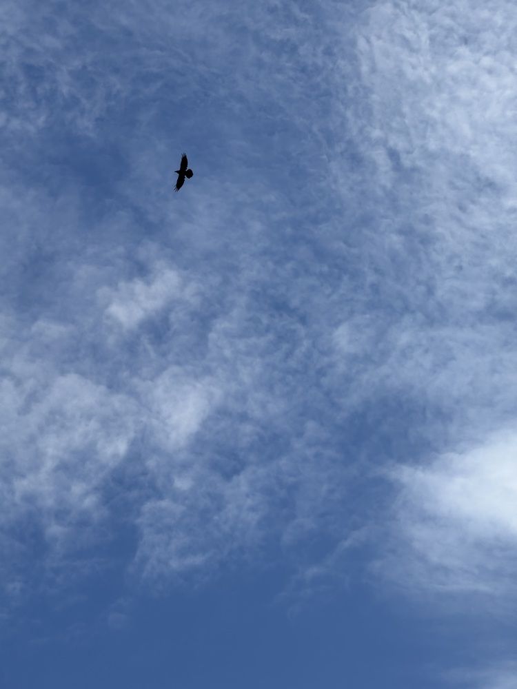 Photograph by Бальзирова Наталья