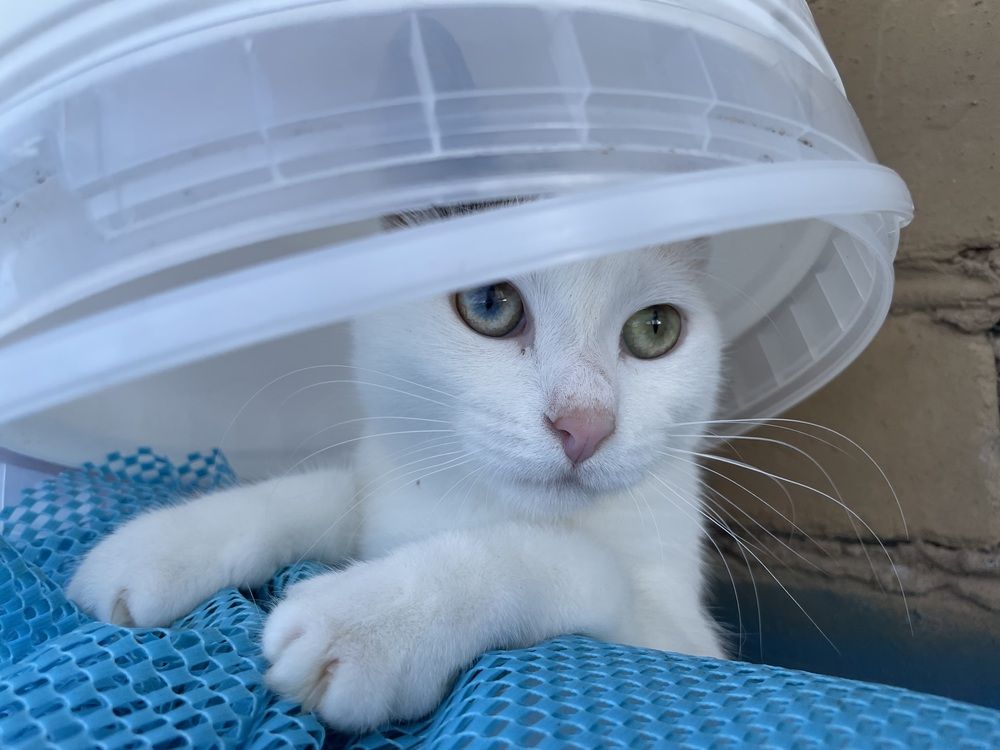 Photograph by Марина Максимова