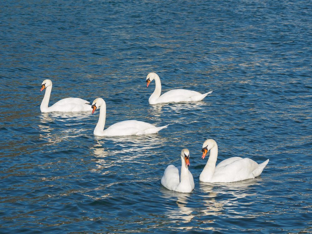 Photograph by Борис Полтавец