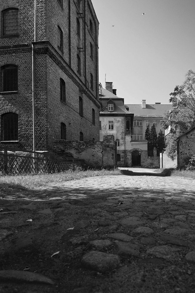 Photograph by Алексей Парамонов