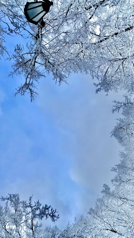 Photograph by Elena Perova