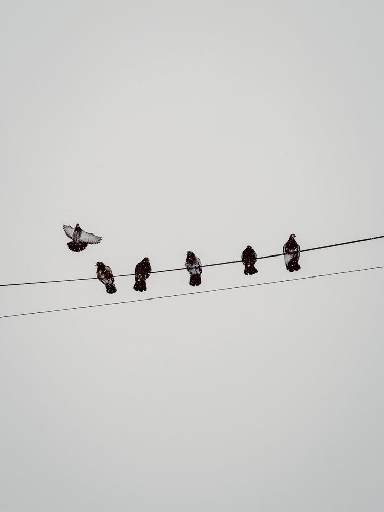 Фотография автора Ирина Павлова