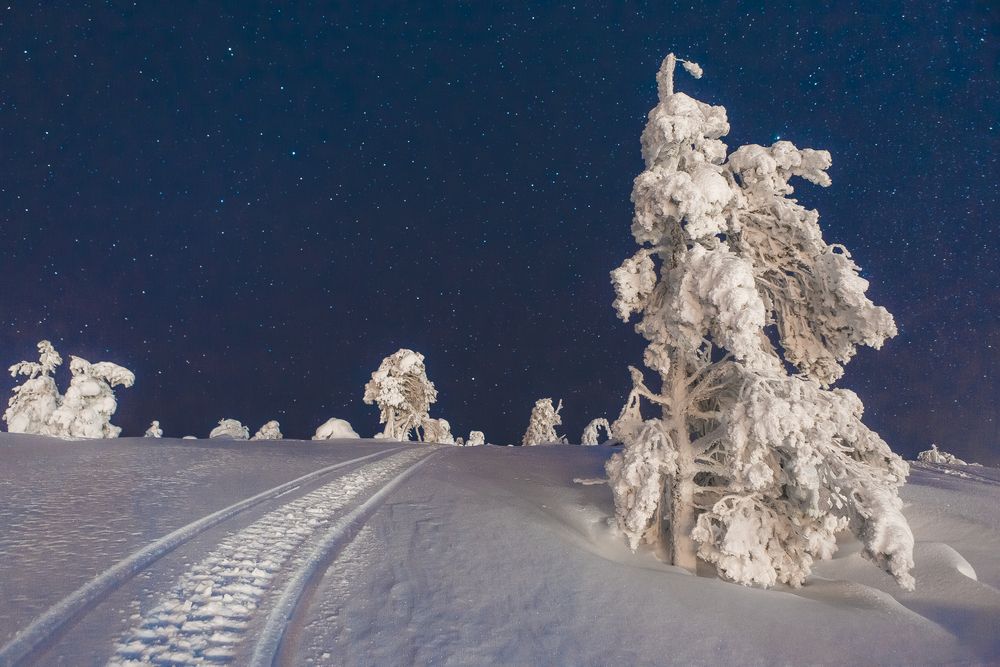 Фотография автора Алексей Новиков