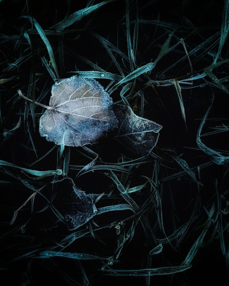 Photograph by Дарья Макаревич