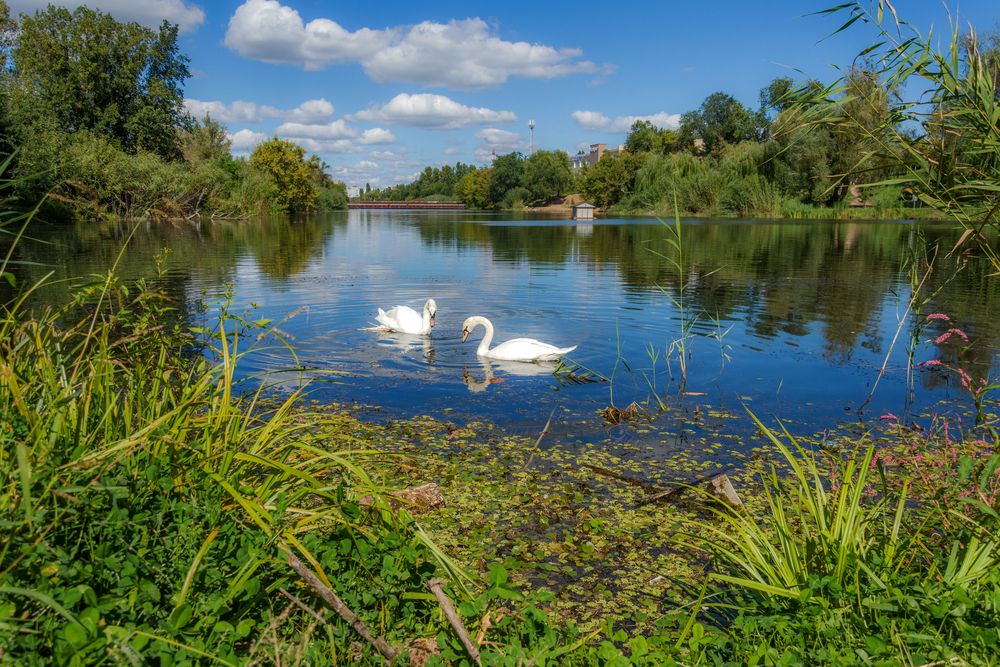 Фотография автора Наталья Димова