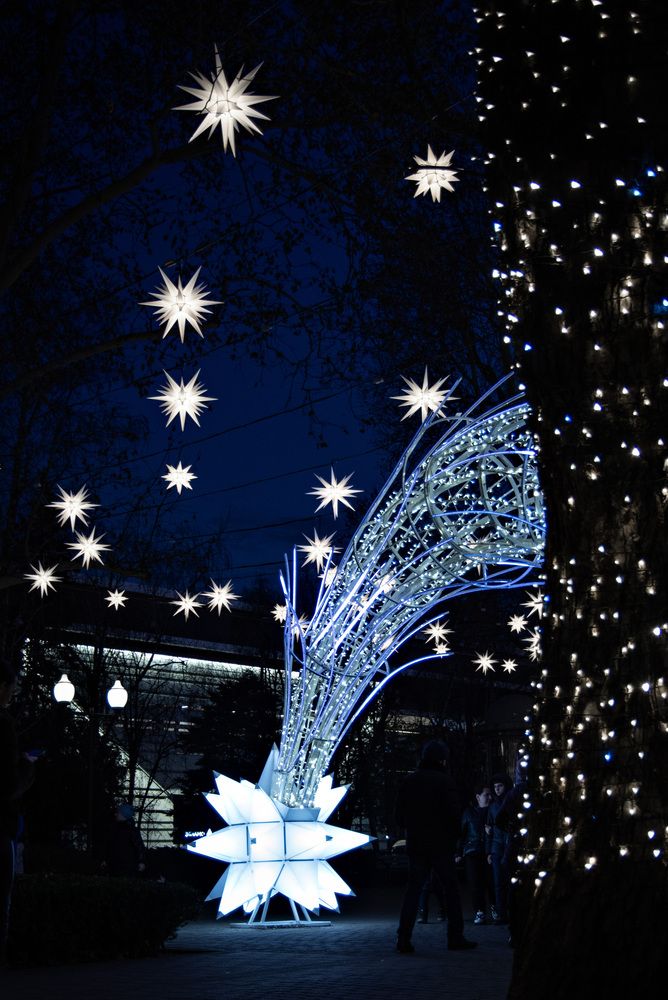 Photograph by Вита Швец