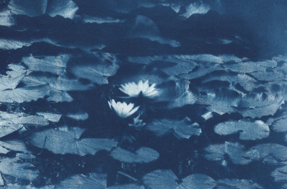 Photograph by Софья