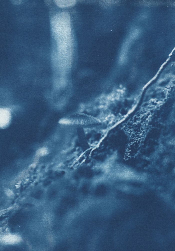 Photograph by Софья