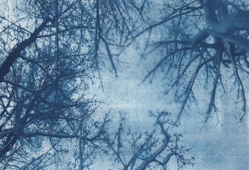Photograph by Софья