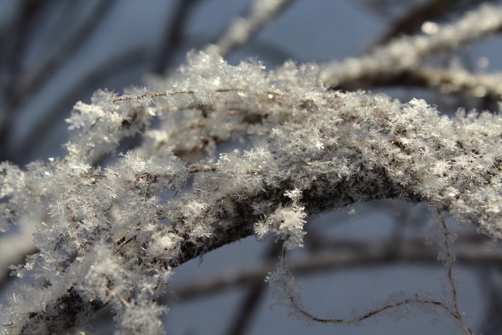 Фотография автора Юлия