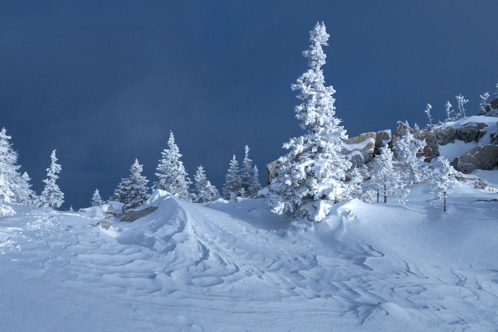 Photograph by Татьяна Бирюкова