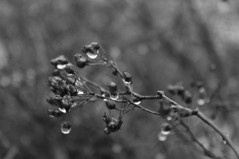 Photograph by Екатерина Иванова