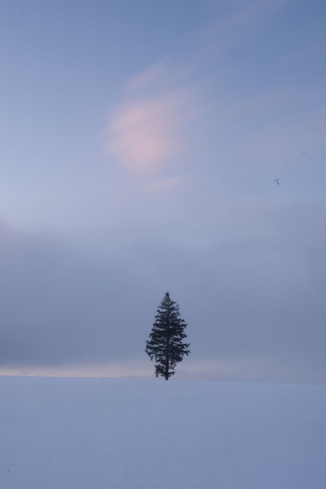 Photograph by Eduardo Fuster Salamero