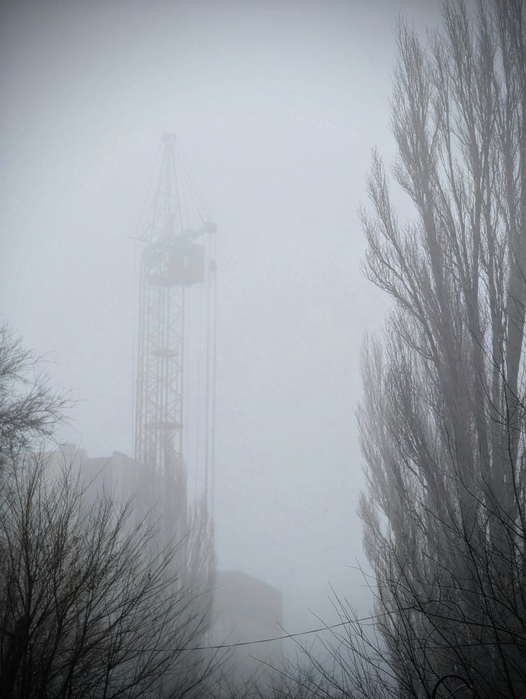 Photograph by AlexaL