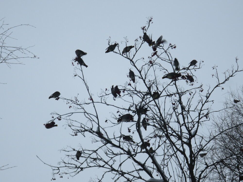 Photograph by Николай Горбачёв