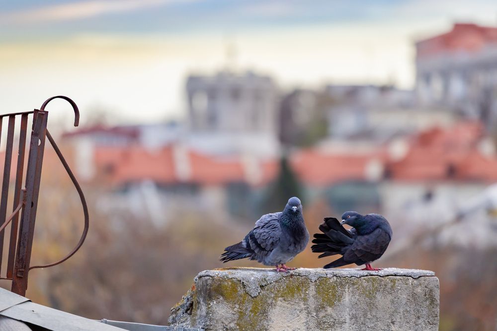 Photograph by Андрей