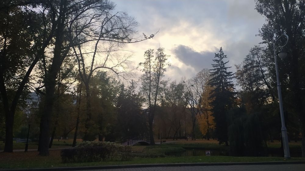 Фотография автора Инесса Ганкина