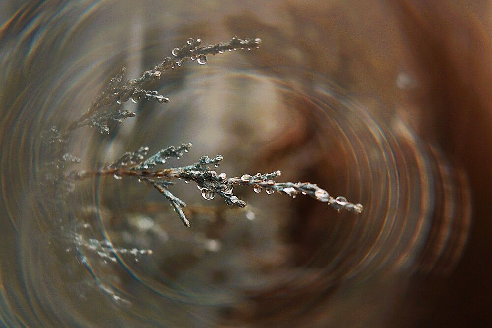 Photograph by Марина А-Б