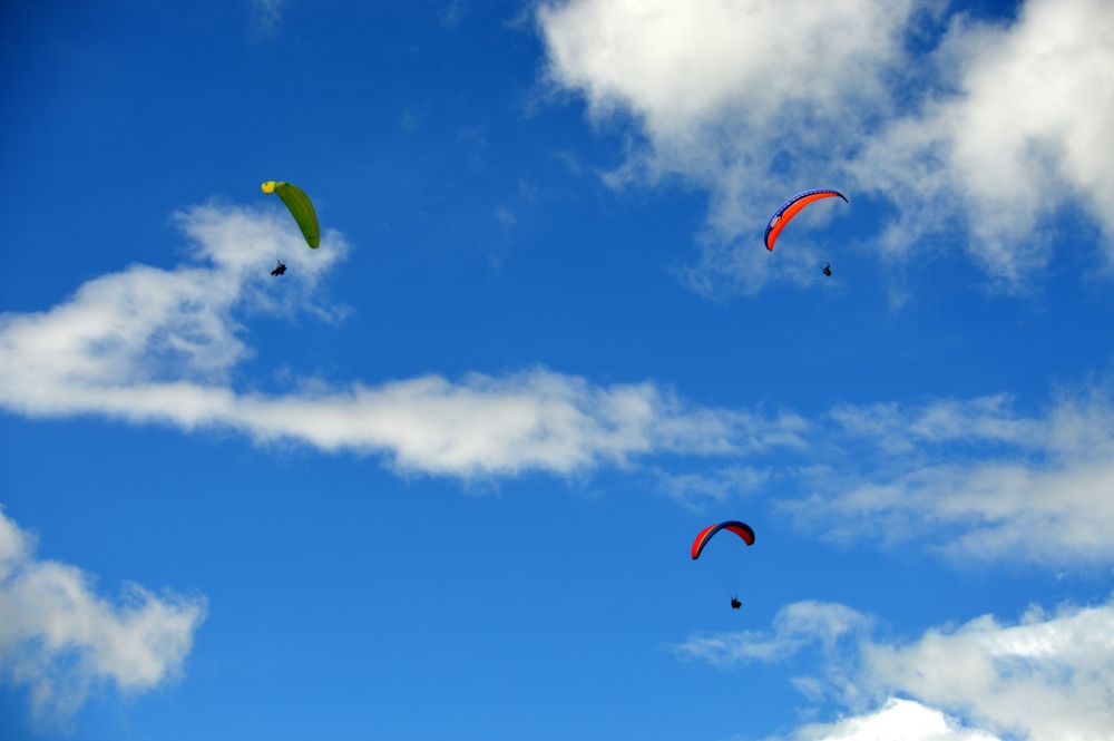 Фотография автора Camilo Martinez