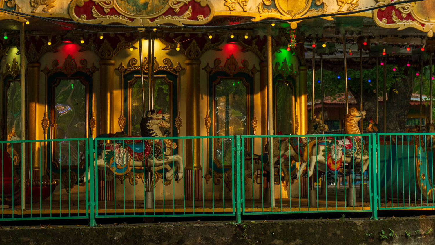 Photo #12967847