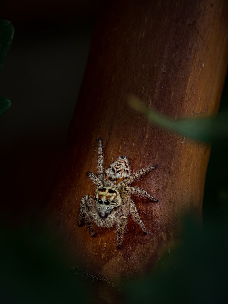 Photograph by Былков Евгений